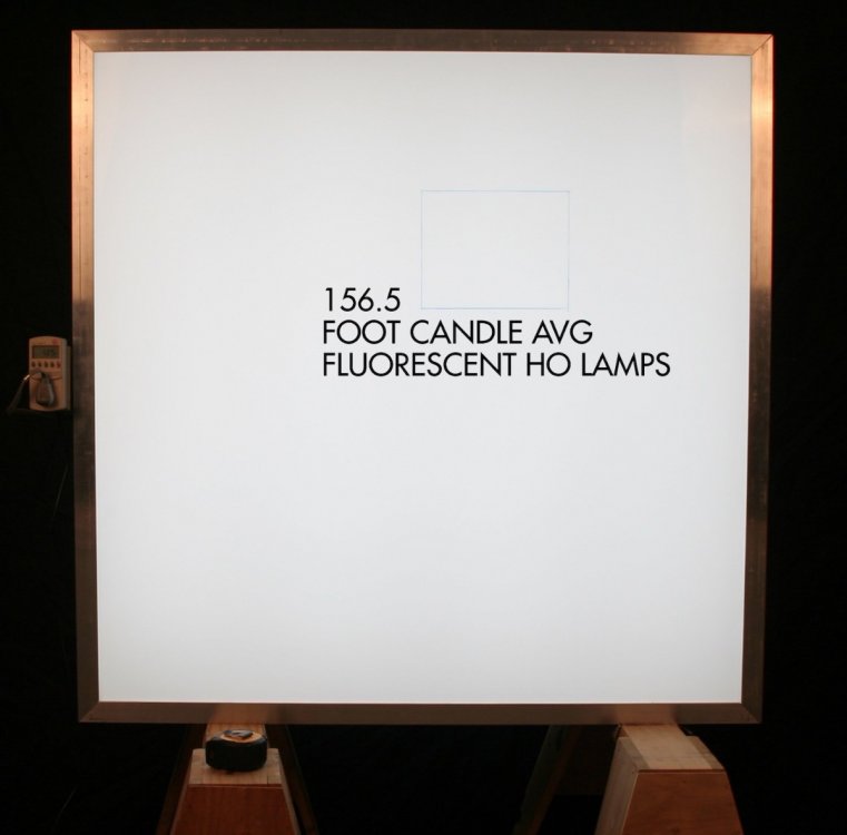 546388871_FluorLamps1500copy.jpg.667dc6f35d3caa58e42b6ae970c25a17.thumb.jpg.32f37fc0a0e7c0789879de5147af3aa6.jpg